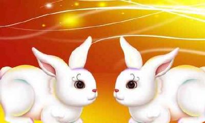 属兔的人出生于农历3月，命运如何？