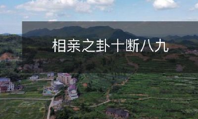 十断八九的相亲之卦，探讨如何在相亲中克服挫折，实现美好婚姻