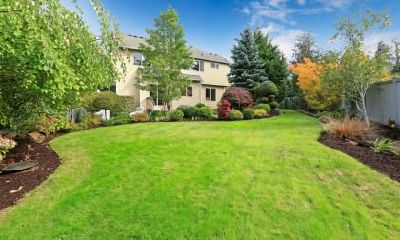 背部左侧长有痣的含义是什么？背部痣长在何处意味着不良运势？