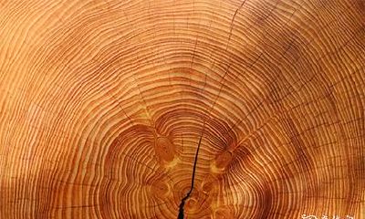 有哪些人群应避免佩戴雷击木？如何判断是否适合使用雷击木？