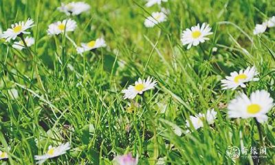 佩？拥有玉佩项链的好处与注意事项，不适合佩戴玉佩的三种女性类型分析