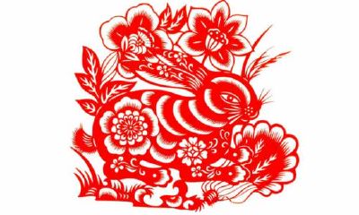 哪些属相将受到2023年持续七年的大灾难影响？