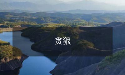 贪婪凶猛的狼群：探究这些天性复杂的猛兽的独特特征与行为习性