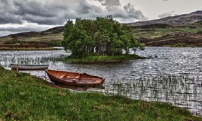 想要招财的话，有哪些适合摆放在家中的风水物品呢？