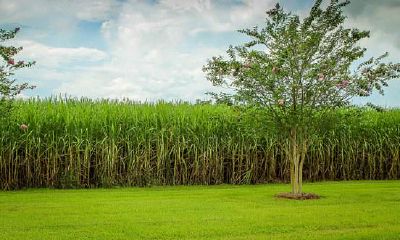 有哪些常见字可用于起帅气精气神强的男孩名字？