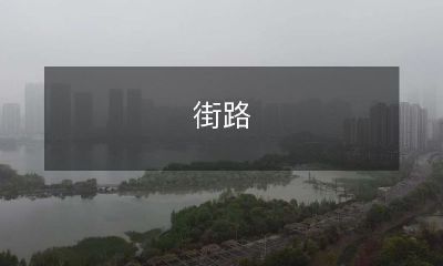 上的行人和车辆互动：步行者、自行车骑行者、摩托车骑手和汽车司机都必须遵守的社会规范与道德准则！