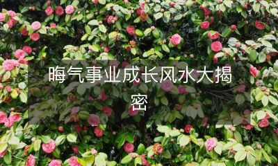 探秘晦气对事业成长的影响，解读风水学对未来发展的启示