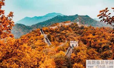 提高家居装饰风水 祈求富贵吉祥的财神聚宝盆摆件