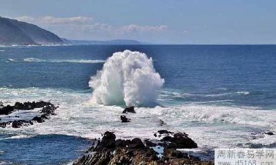 石榴木命的人应该佩戴哪些能够旺财的饰物或宝石？