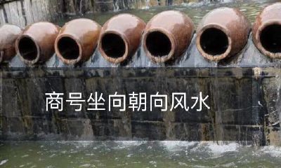 为生意增加兴旺气场，商号摆放坐向如何应用风水学术，成为实现商业成功的关键