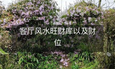 如何在客厅布置风水旺财的财库以及确定财位？