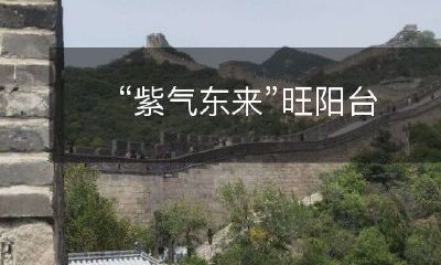 紫气东来，使阳台更旺盛！