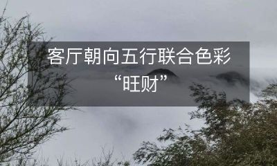 通过客厅朝向和五行联合色彩的搭配，让财运大旺！