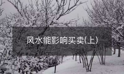 探究风水如何影响买卖——从环境布局到能量流动的影响力（上篇）