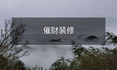 如何以最少的花费，最快地完成装修项目并提高房屋价值：探索催财装修的实用技巧