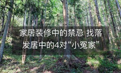 避免家居装修中的禁忌，然而往往难免触及头发落下处，找出可能发生冲突的4对“小冤家”！
