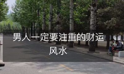 男性如何充分利用财运风水来提升个人财富和福报水平——一份简明指南