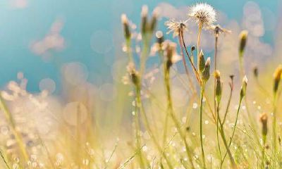 与凶位仔细分析：6月份的家居风水方位在哪里呢？优选吉位避凶，确保生活平安！