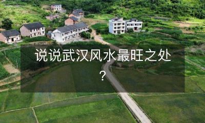 发掘武汉地域风水宝地，探讨其最具旺盛生命力与繁荣兴旺的特点！