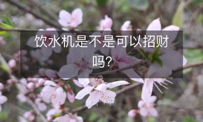 饮水机是不是一种能带来好运和财富的摆设？