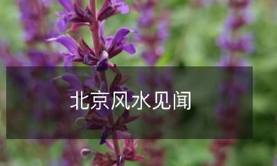 探秘北京的神秘风水之谜：漫步历史文化中心，发现城市布局与自然环境相互融合的精妙之处