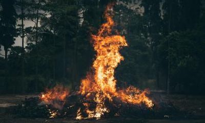 头发遮住额头的负面影响：探究头部遮挡对人类感知与心理的影响