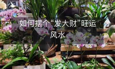 通过风水布局与装饰，如何打造一个有助于财运提升并让您“发大财”的吉祥旺运空间