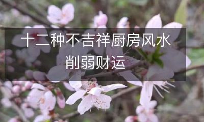 十二种能够削弱厨房风水，从而影响财运的不吉祥的厨房摆设及布局方案