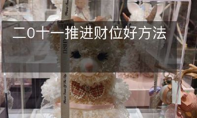 二0一一年的财务规划和财富增值技巧推进方法分享