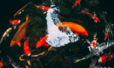 流产客到我家门口，该如何处理？女性如何避免打胎后的风水忌讳？