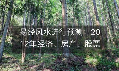 利用易经风水术来预测2012年经济、房产和股票市场的变化情况