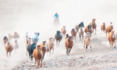 属马人在风水学中居住的最佳楼层是多少？在66年出生的属马人的情况下，哪一层楼是最适合他们的呢？