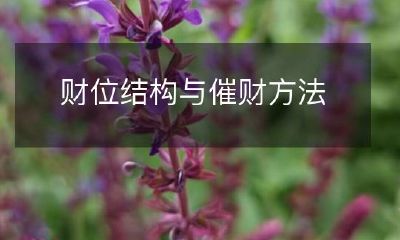 提高财运的有效手段：探讨财位结构对催财方法的影响