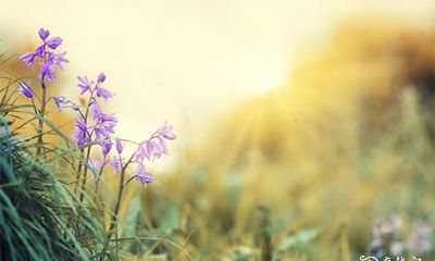 如何看待带有华盖太极的八字，了解华盖太极及其意义