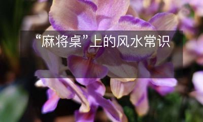 在打麻将时需要注意的风水常识：如何摆放麻将桌才能抓牌顺，哪些元素会影响胜负，以及如何利用风水让你在麻将比赛中掌握胜利之道