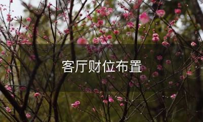 如何在客厅打造一个理财有道的最佳财位布置？