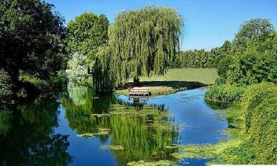 2022年如何选择家居装饰品以吸财气？金元宝、貔貅、摆件等推荐！