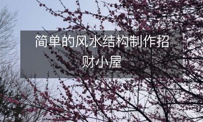 如何制作简单又有效的风水结构，提升招财效果，打造繁荣富贵的招财小屋