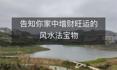 了解如何利用风水法宝物来提升家中财运和吉祥祥瑞