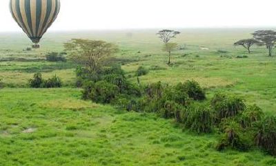 和供奉方法有什么值得注意的事项？