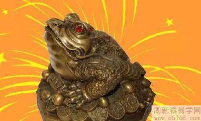 家居布置招财旺财风水大全：如何通过布局、摆放和装饰物来吸引财富、福气和好运？