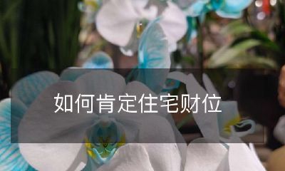 如何确定住宅风水和财位以达到财运亨通的最佳效果？