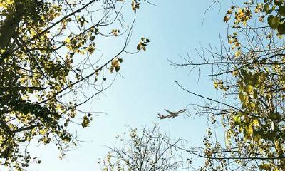 布局指南，让您日进斗金、财运亨通