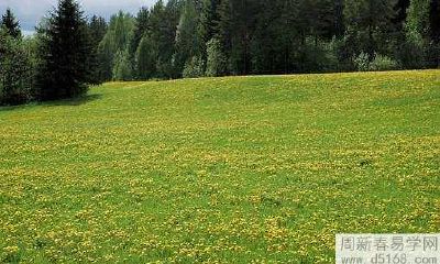 通过在家放置什么物品能迅速吸引财运？财神爷是最具吸财之力的选择