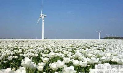 如何利用家居摆设来改善风水，为自己招来好运？