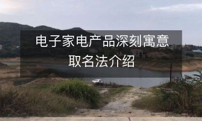 介绍电子家电产品命名的深刻寓意和技巧，以及如何根据品牌理念和目标用户精准取名的方法指南