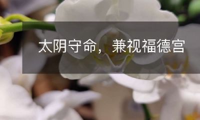 同时考虑太阴守命和福德宫的神秘力量：探秘兼顾太阴守命和福德宫的强大神力