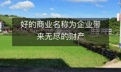 恰如其名的商业品牌命名是创业者获得不尽的财富之门