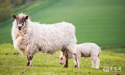 2023年生肖中有插足第三者的八字女命会拥有更多情人机会