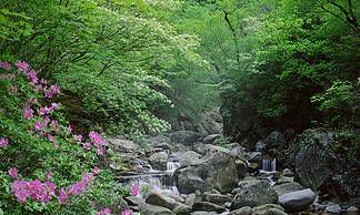 哪些星座的孩子在开学时迫不及待地远离家庭并倍感兴奋？